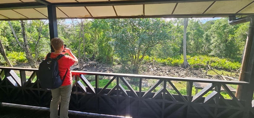 Sepilok OrangUtan, Sun Bear & Labuk Bay Full Day Trip - Is $239 a Fair Price?