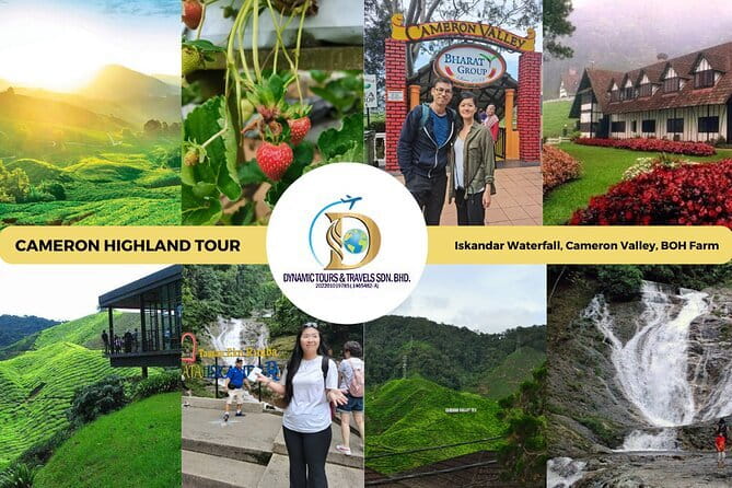 Shared Fireflies Tour with Blue Tears and Seafood Dinner - Who will enjoy this $65 experience most?