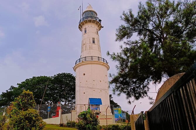 Shared Fireflies Tour with Blue Tears and Seafood Dinner - A generous seafood dinner before sunset