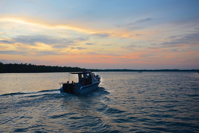 Shared Mangrove & Irrawaddy Dolphin Watching Cruise - Key Points Before You Book