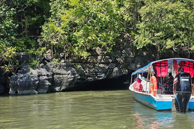Sharing Half Day Mangrove Boat Tour With Lunch in Langkawi - Key points before you book