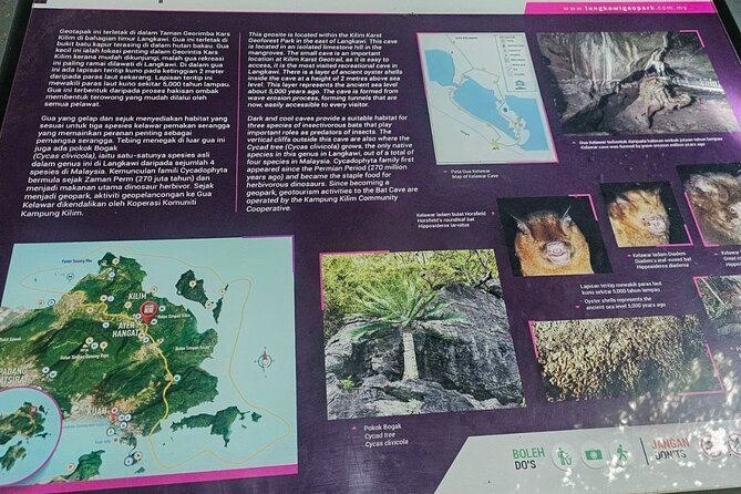 Sharing Half Day Mangrove Boat Tour With Lunch in Langkawi - Starting with eagles near Kubang Badak