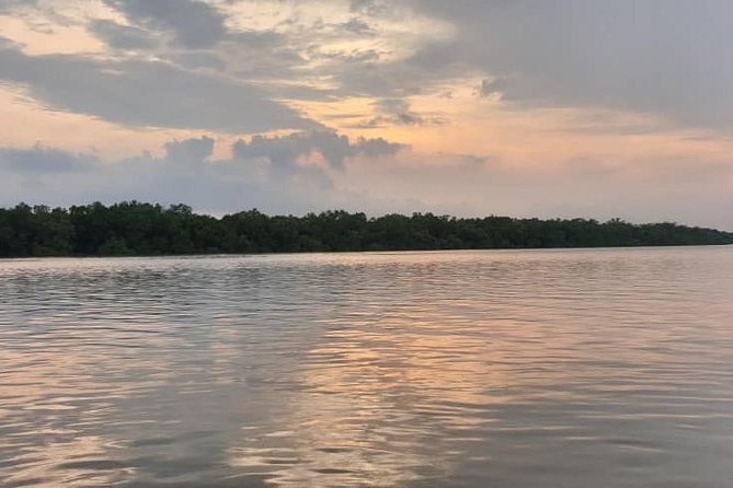 Sky Mirror Experience at Kuala Selangor from Kuala Lumpur - Leaving Kuala Lumpur at 6:45 am