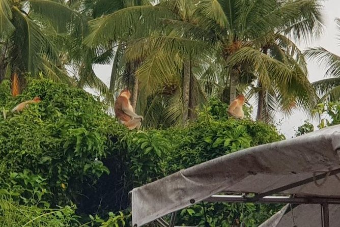 Sky-Mirror Photographing and Proboscis Monkey & Fireflies Watching River-Cruise - Leaving Kota Kinabalu for Bongawan