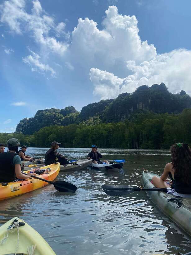 Small Group, Big Heart: Kilim Karst Mangrove Kayak Adventure - Kayaking through Kilim’s mangrove channels
