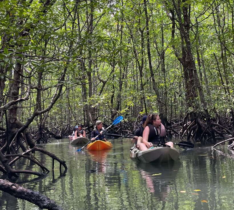 Small Group, Big Heart: Kilim Karst Mangrove Kayak Adventure - What the $69 price really covers