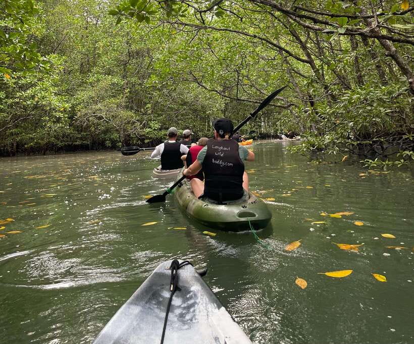 Small Group, Big Heart: Kilim Karst Mangrove Kayak Adventure - Timing, communication, and flexibility