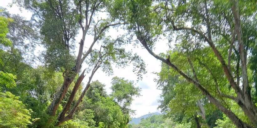 Sungai Berang Wildlife & Cultural Kayak Tour - What the $62 price includes