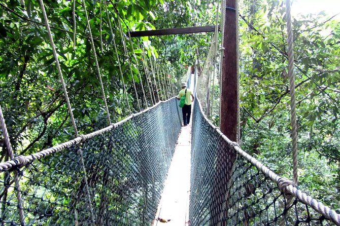 Taman Negara Day Tour with Canopy Walk - Why Taman Negara is worth the long ride