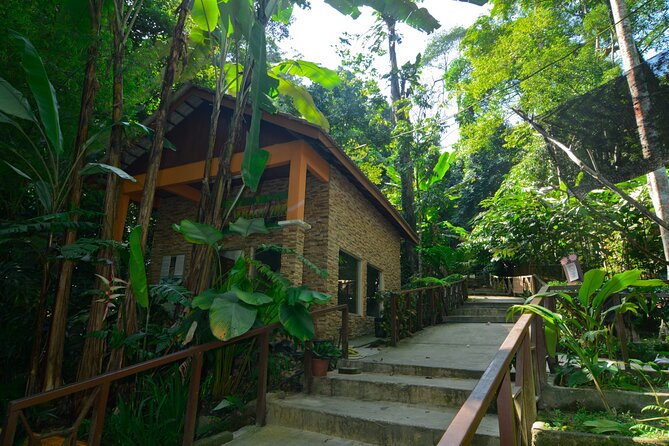 Taman Negara Day Trip from Kuala Lumpur with Lunch - Key points to know before booking