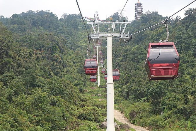 Taman Negara National Park Day Excursion from Kuala Lumpur PVT - What to bring and how to set your expectations