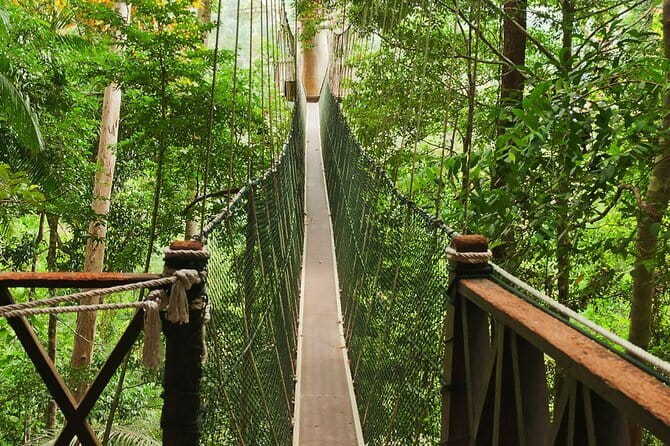 Taman Negara National Park Day Excursion from Kuala Lumpur PVT - Crossing the canopy bridge above the trees