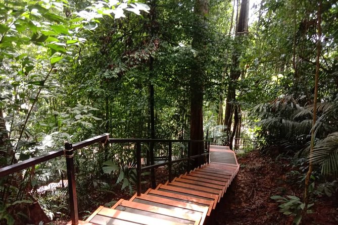 Taman Negara National Park Day Tour (SIC - Join In Tour) - Permits, cameras, and the first forest walk