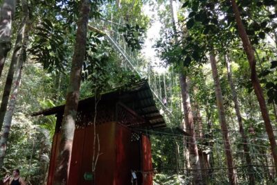 Taman Negara National Park Day Tour (SIC – Join In Tour)