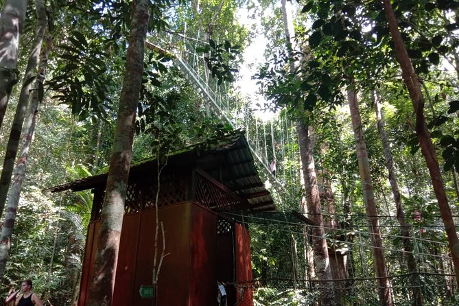 Taman Negara National Park Day Tour (SIC - Join In Tour) - Leaving Kuala Lumpur before sunrise