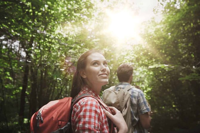 Taman Negara National Park Day Tour with Professional Local Guide - Key points to know before booking