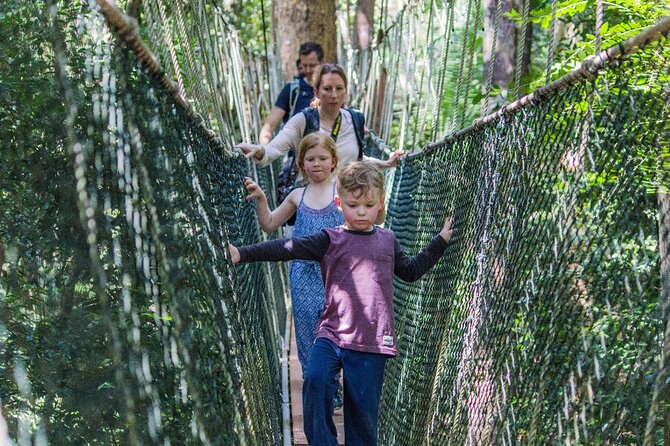 Taman Negara National Park Day Tour with Professional Local Guide - Why this Taman Negara day trip is worth the long ride