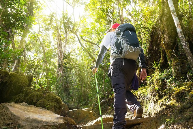 Templer Park and Kanching Waterfall Tour with Batu Caves Stopover - Who will enjoy this morning most?