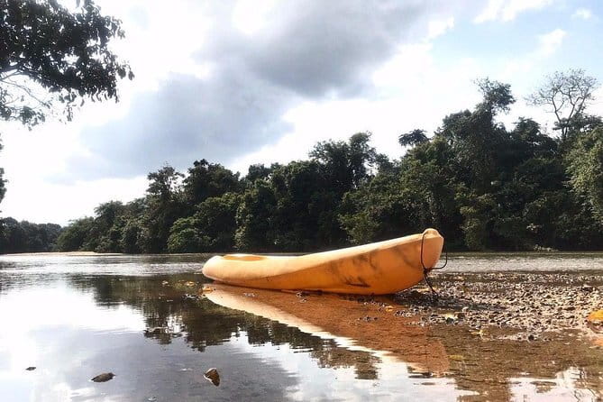 Terengganu Wildlife Kayak Tour - Why Sungai Berang makes a good wildlife outing
