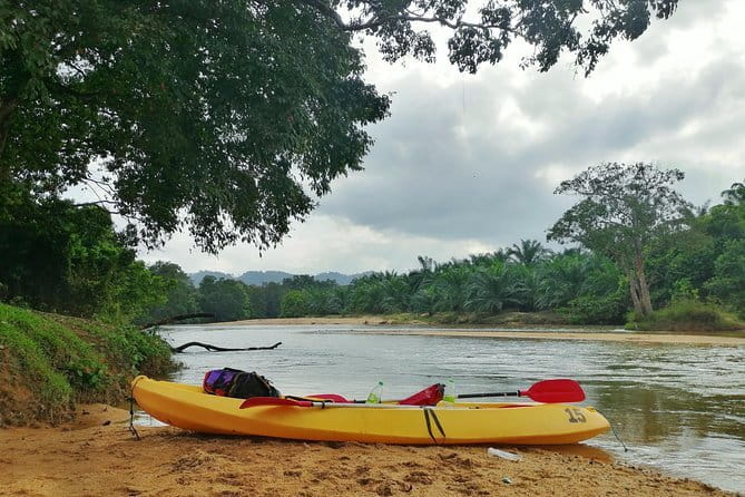 Terengganu Wildlife Kayak Tour - What the morning schedule looks like