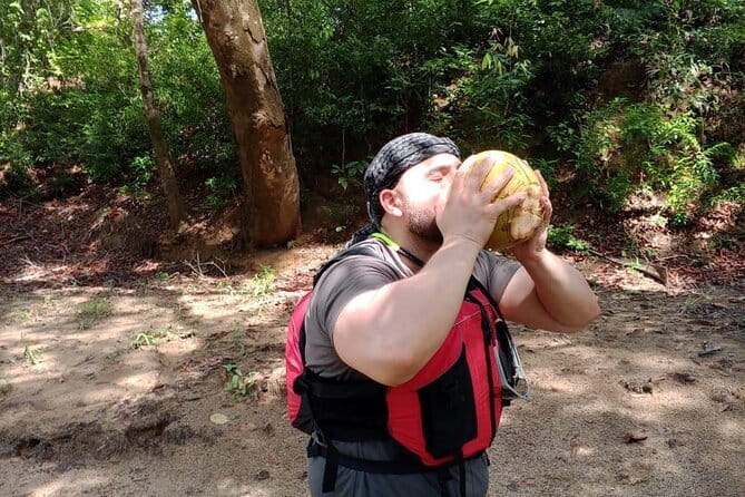 Terengganu Wildlife Kayak Tour - Wildlife you might see along the banks
