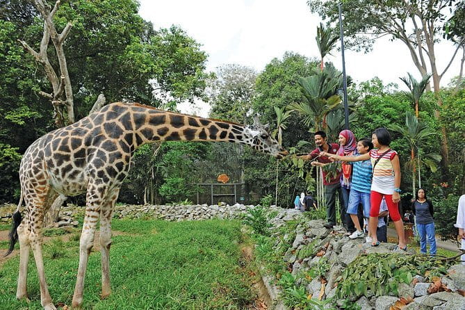 Terengganu Wildlife Kayak Tour - Who should book the Sungai Berang kayak tour?