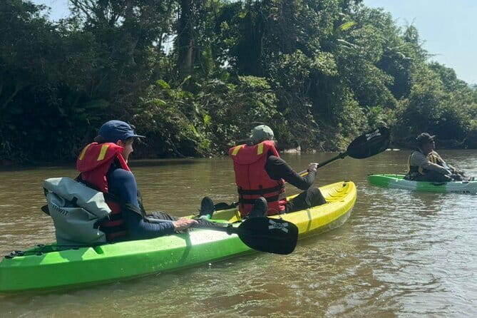 Terengganu Wildlife Kayak Tour - A gentle paddle for beginners
