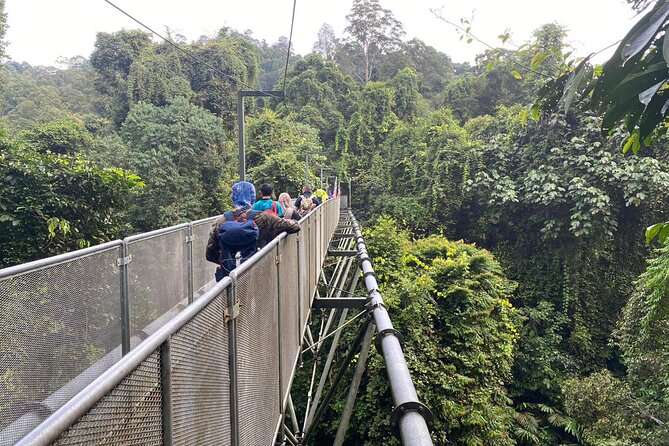 Whitewater Rafting Sedim River +/- Sireh Cave from Penang - What this Penang to Kulim day trip actually offers